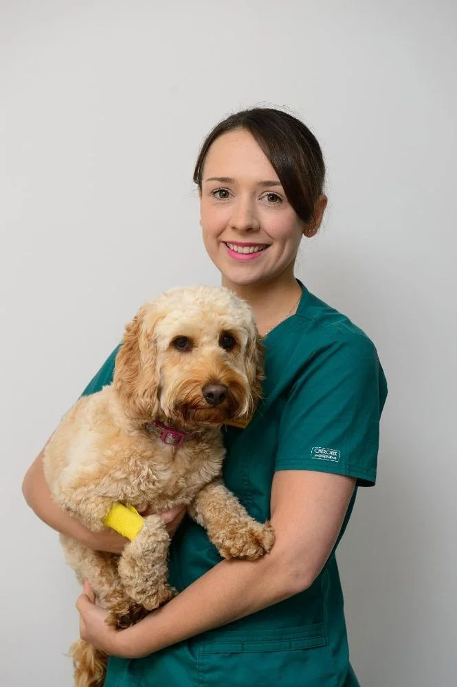 Valley Veterinary Hospital