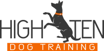 High Ten Dog Training