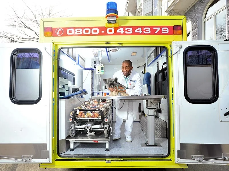 Mobile Tierarztpraxis Hamburg Dr Specht