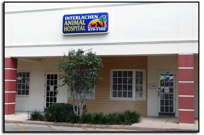 Interlachen Animal Hospital