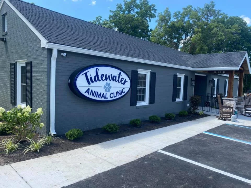 Tidewater Animal Clinic