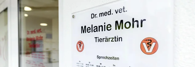 Dr. Melanie Mohr