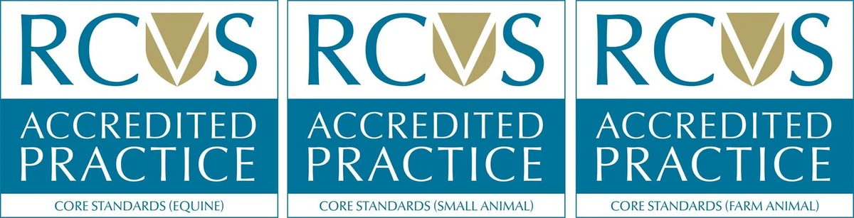 Morven Veterinary Practice