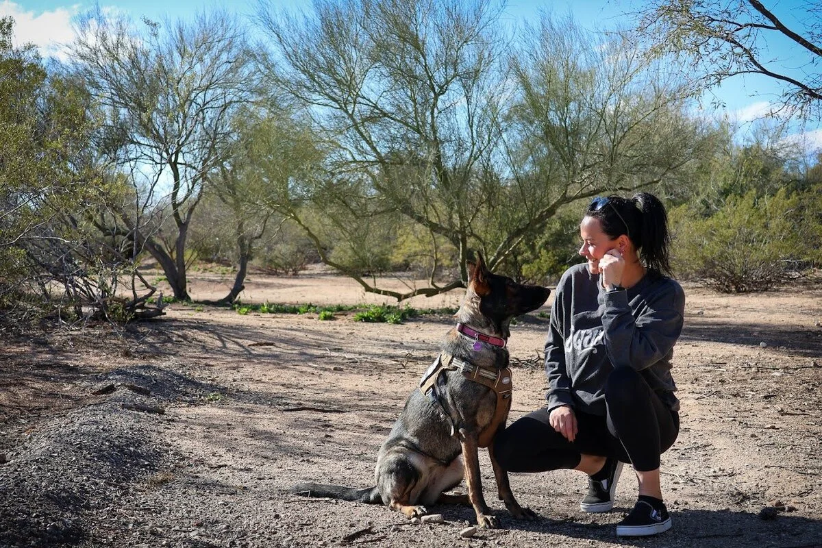 Start Pawsitive Dog Training