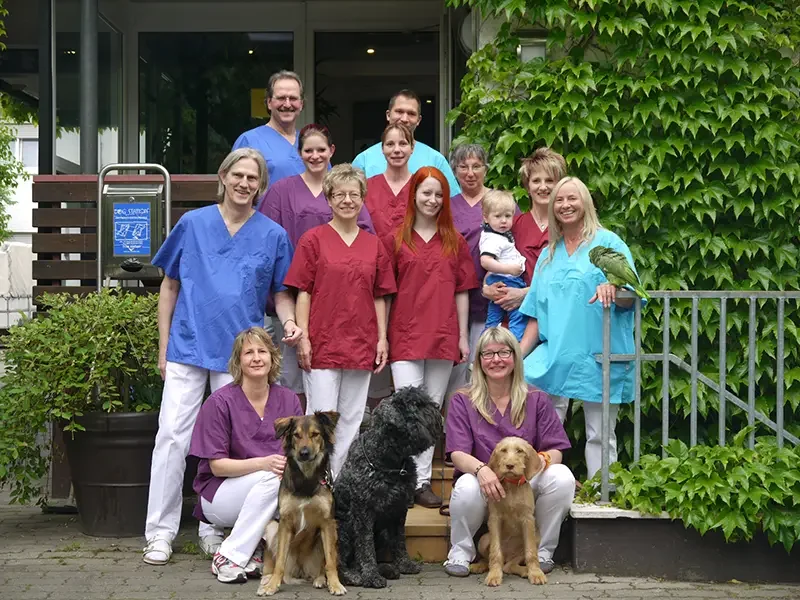 Tierärztliche Gemeinschaftspraxis Dr. med. vet. Schramm & Eisele