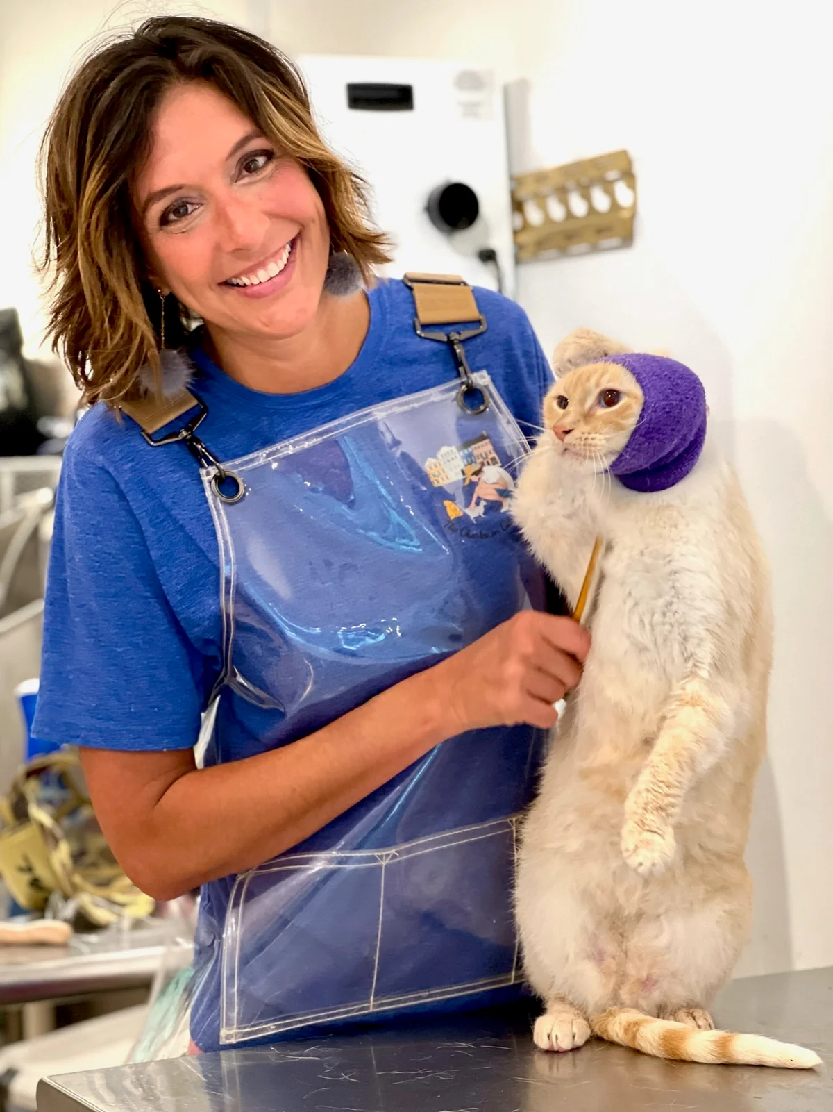 The Charleston Cat Groomer