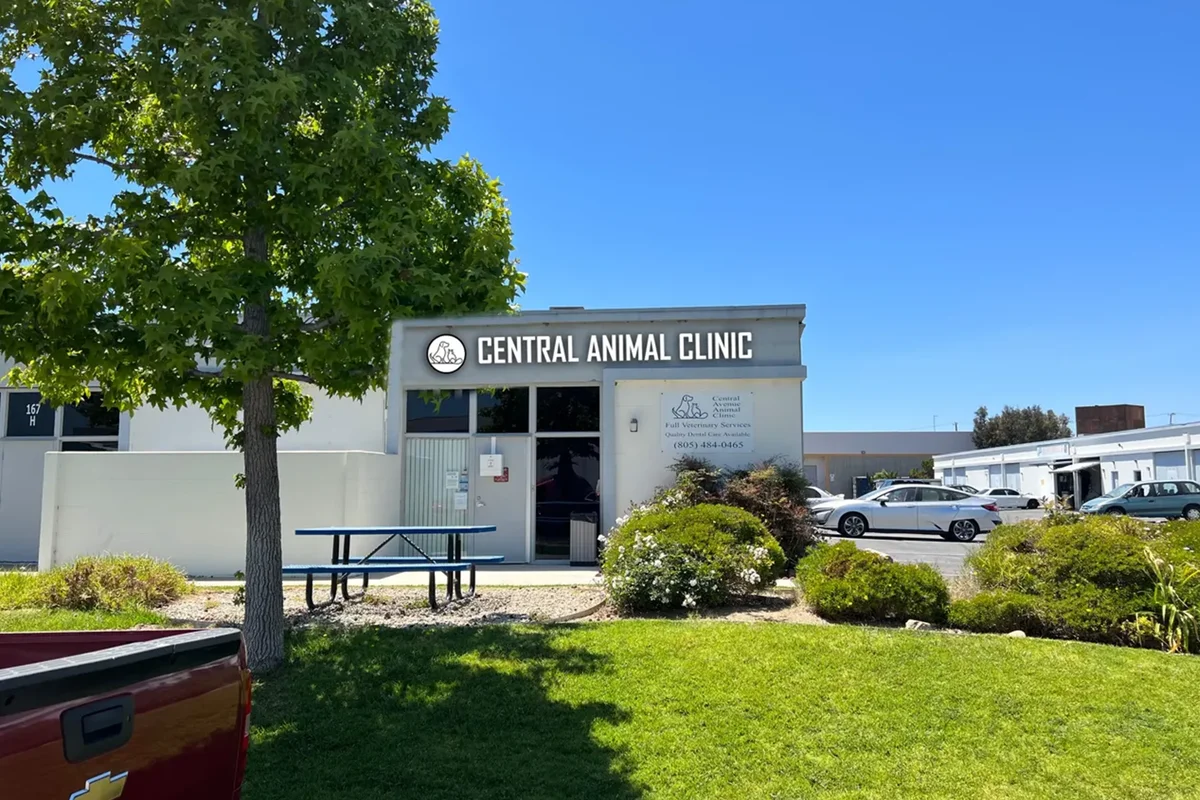 Central Avenue Animal Clinic