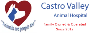 Castro Valley Animal Hospital