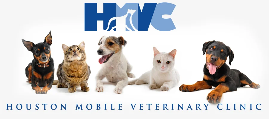 Houston Mobile Veterinary Clinic