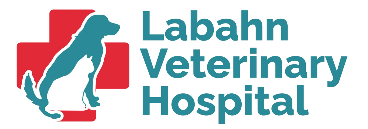 Labahn Veterinary Hospital