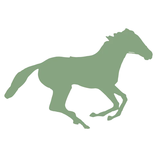 Care Animal Hospital