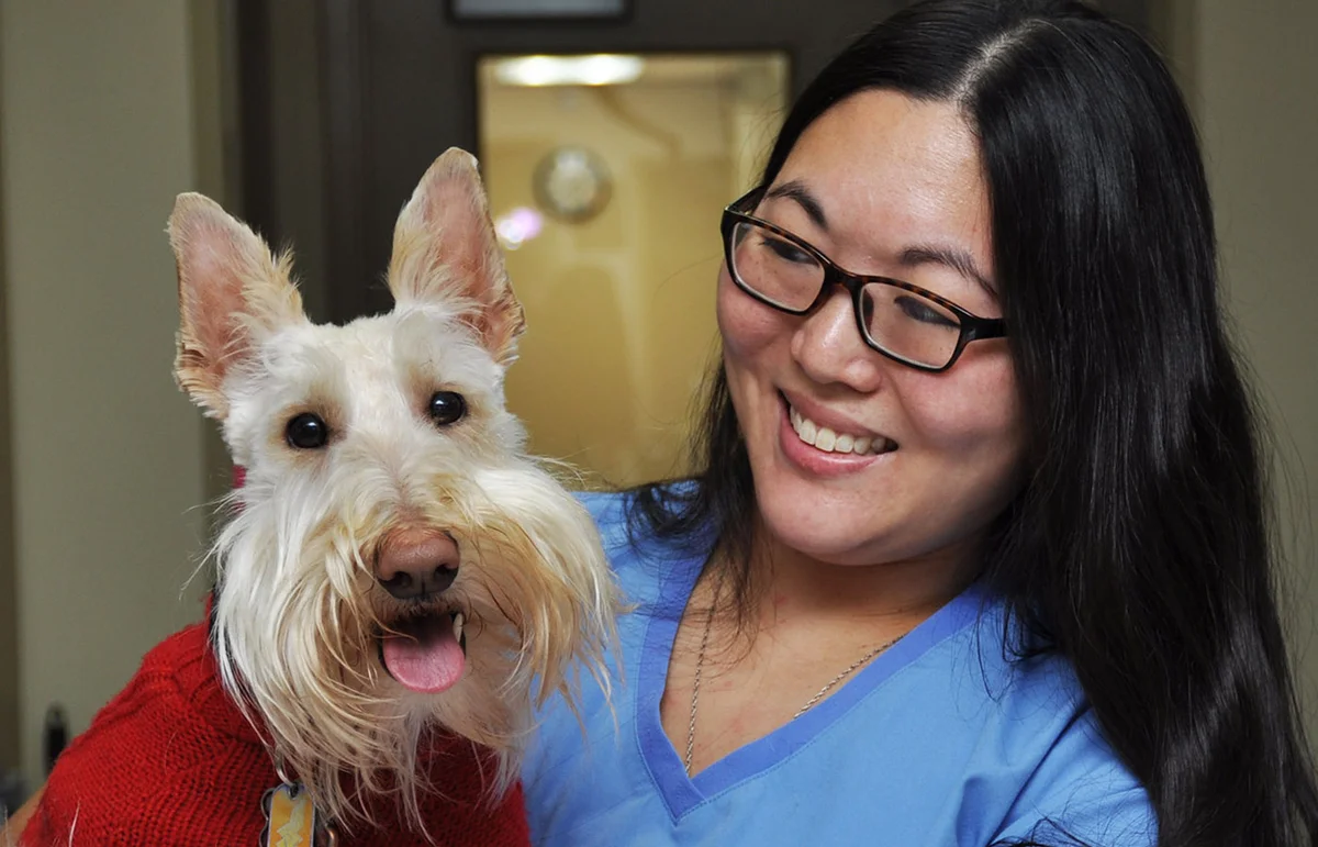 Mt. McKinley Animal Hospital