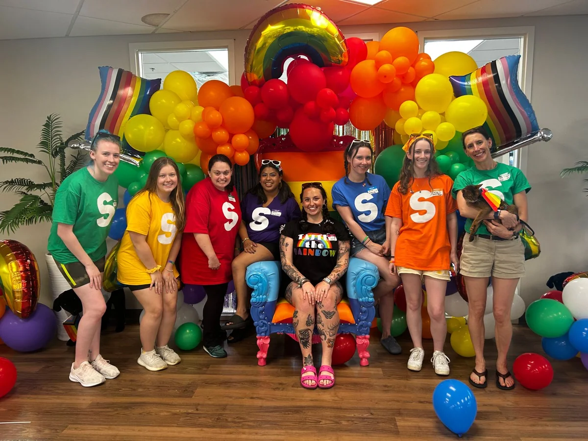 The Boston Cat Hospital