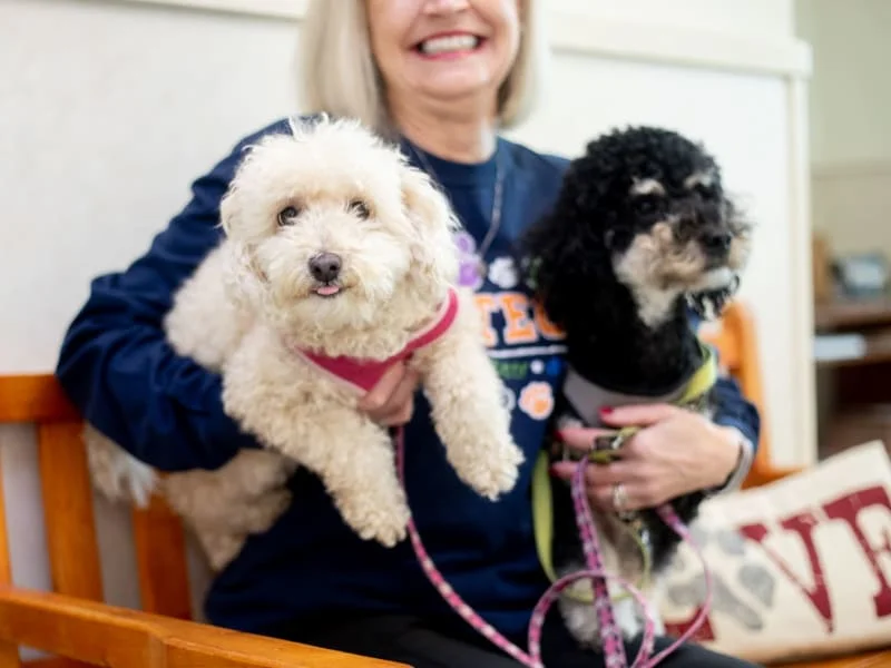 Animal Hospital of Clemmons