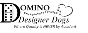 Domino Schnoodles