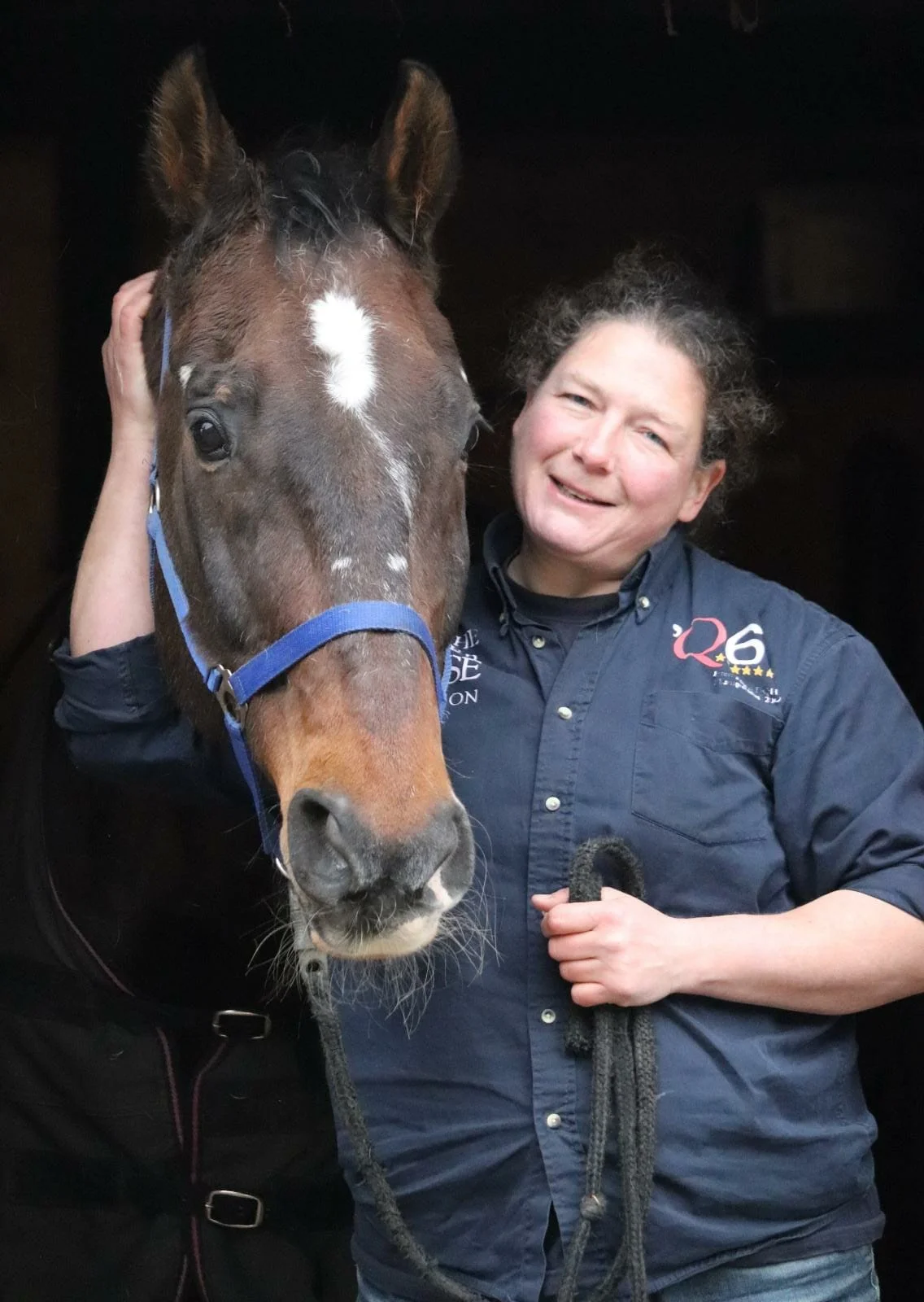 Zahnkorrektur bei Pferden