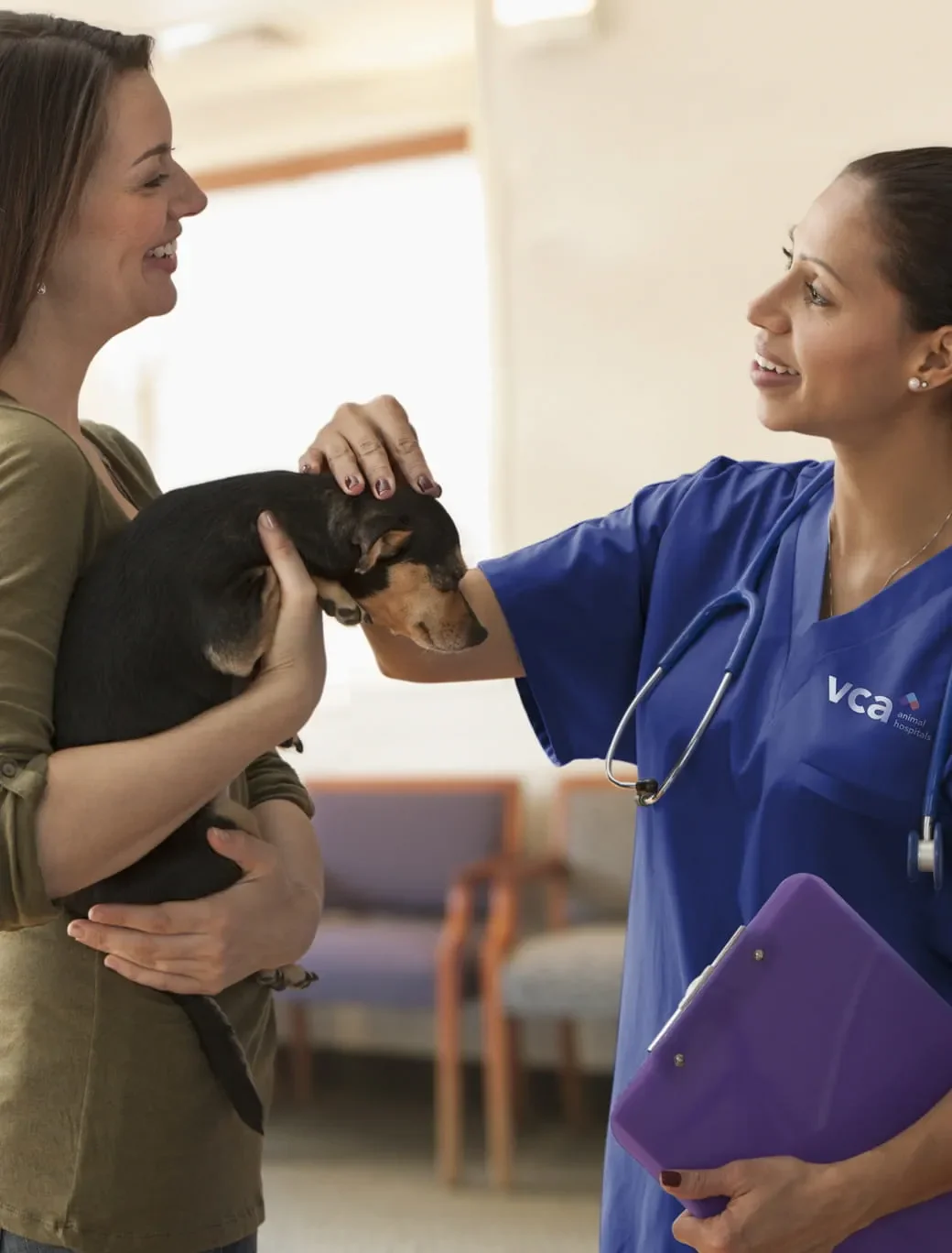 VCA Northwood Animal Hospital