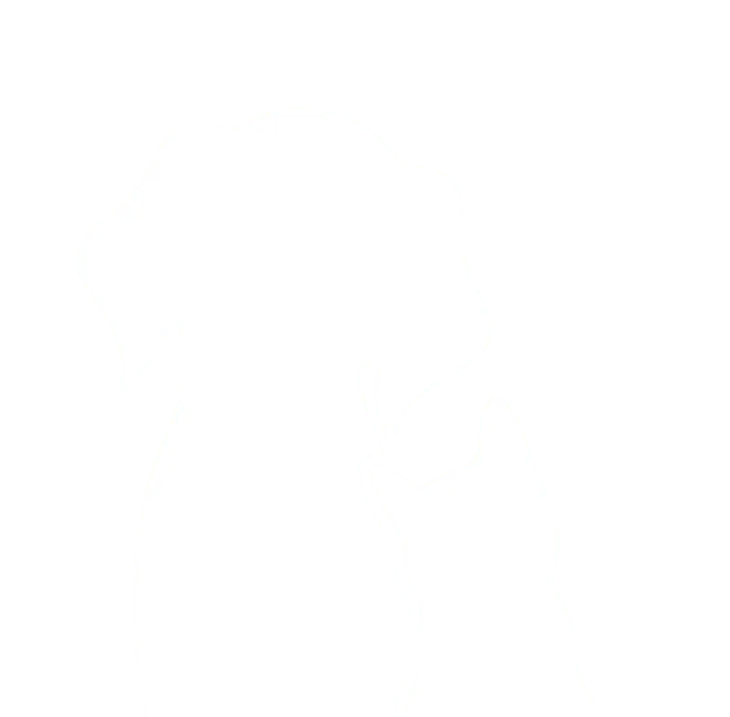 Brookschool Road Veterinary Clinic