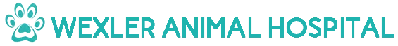 Wexler Toby Veterinarian