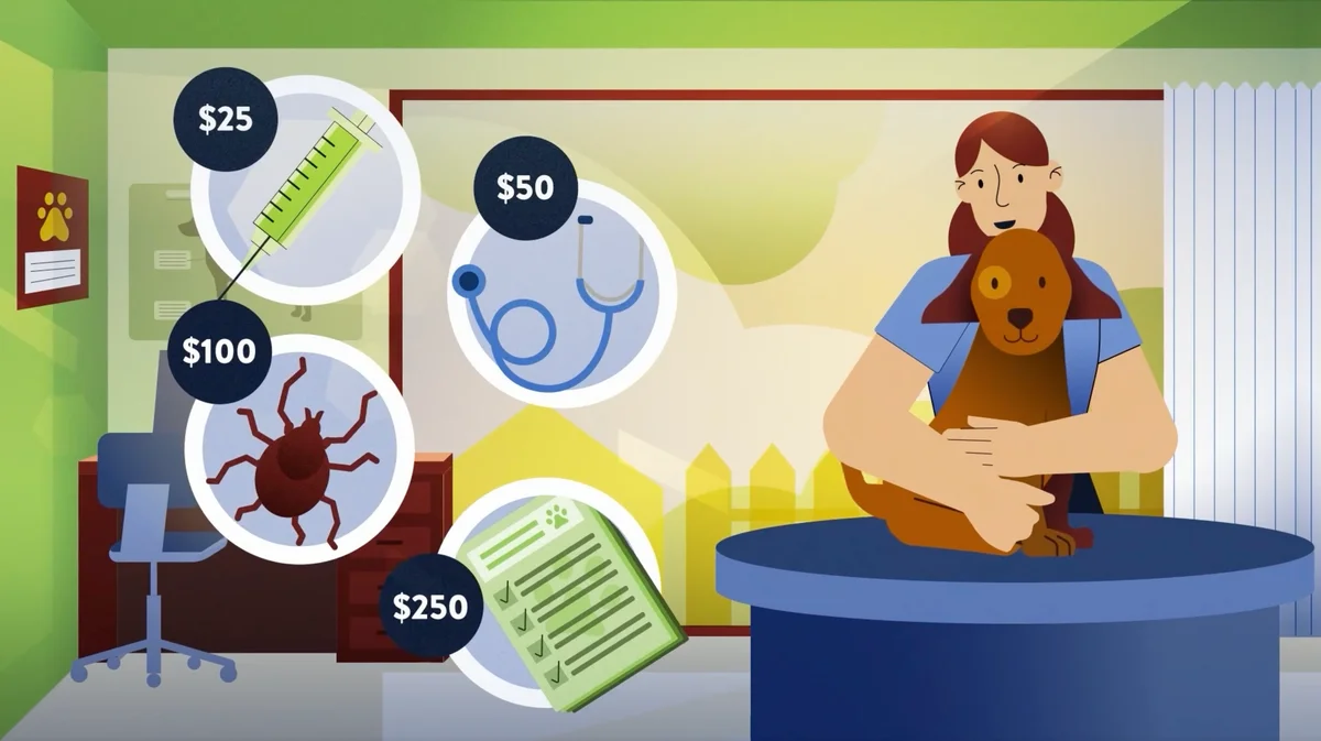 One Health Organization