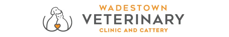 Wadestown Veterinary Clinic