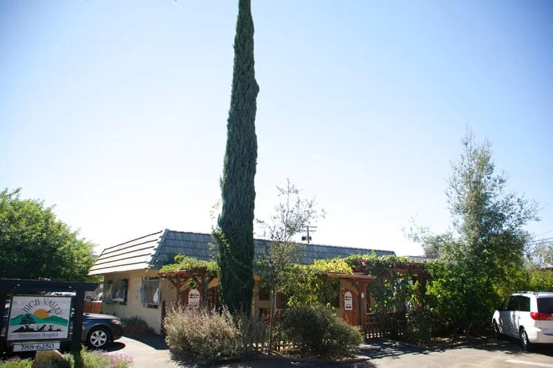 High Valley Veterinary Hospital