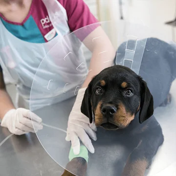 Sunderland PDSA Pet Hospital