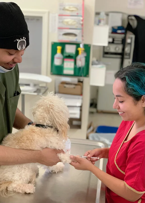 Peninsula Avenue Veterinary Clinic