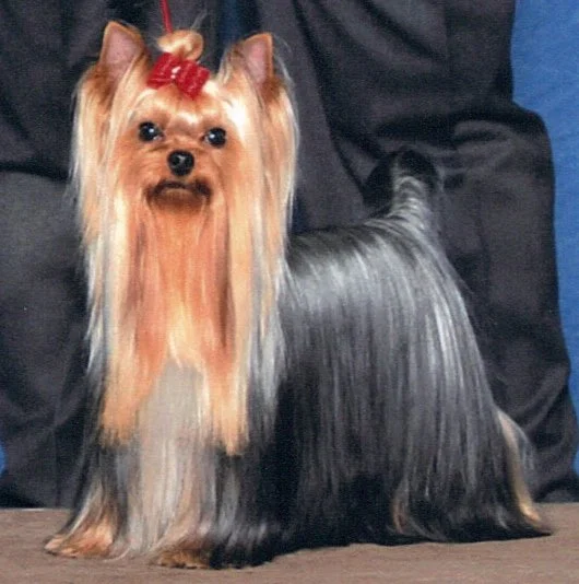 Preston Country Club