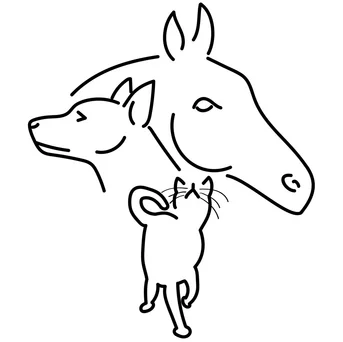 Wales Veterinary Practice