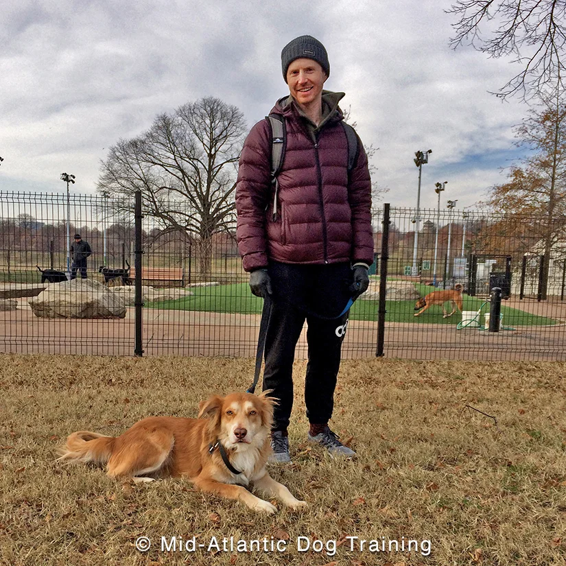Mid-Atlantic Dog Training