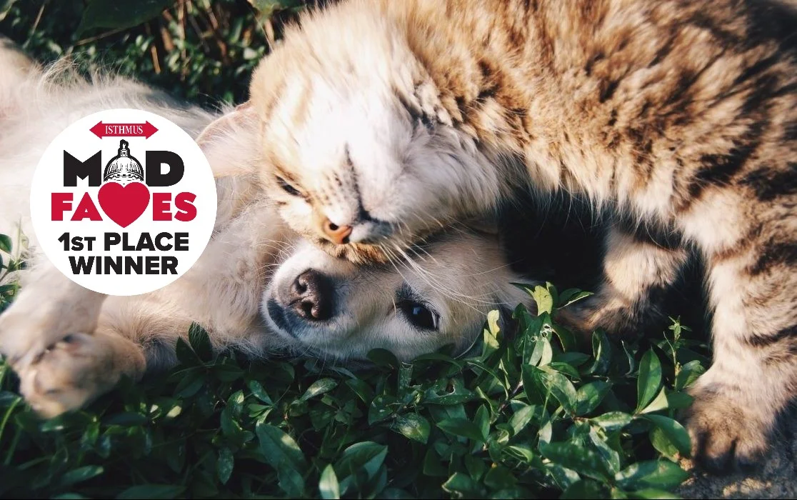 Isthmus Veterinary Care