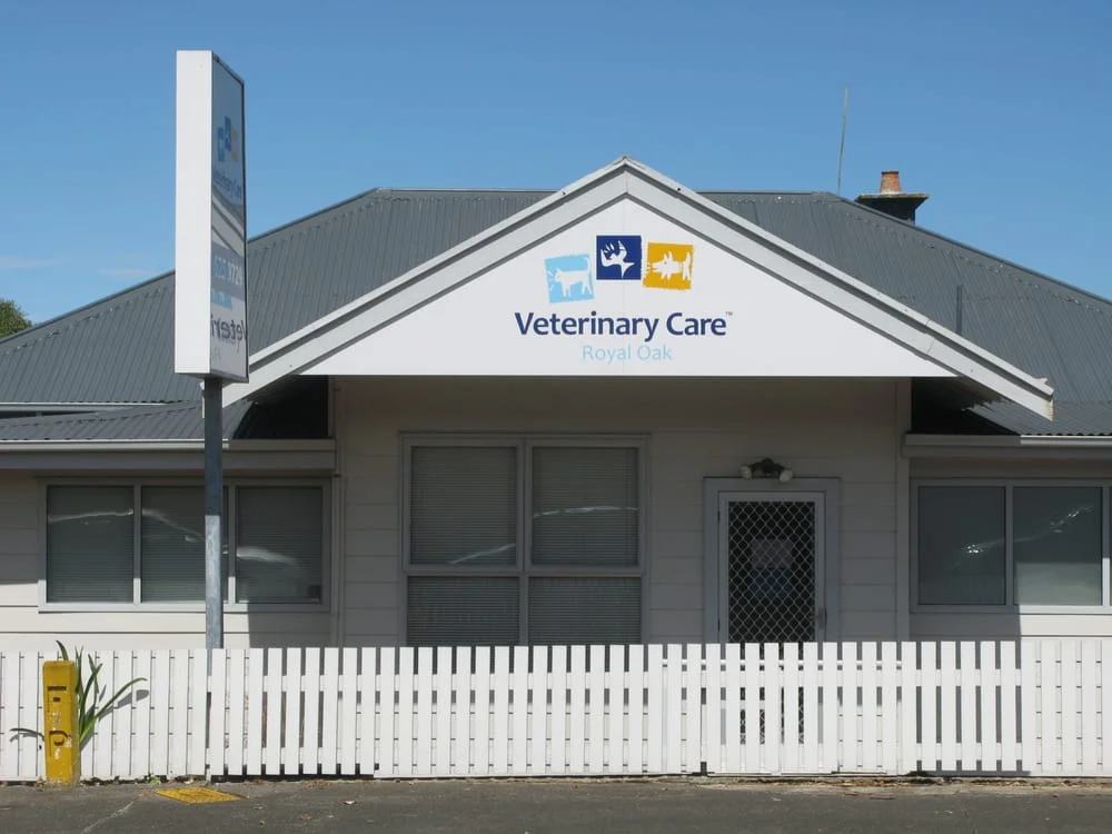 Royal Oak Veterinary Care and Cattery