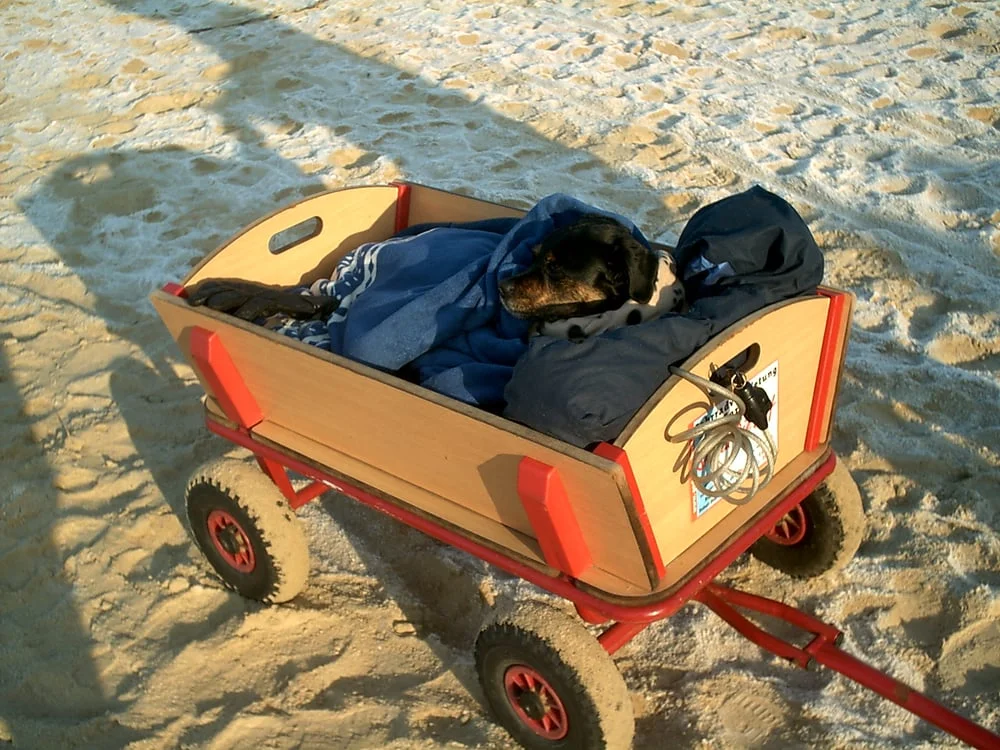 Kleintierklinik Duisburg-Asterlagen