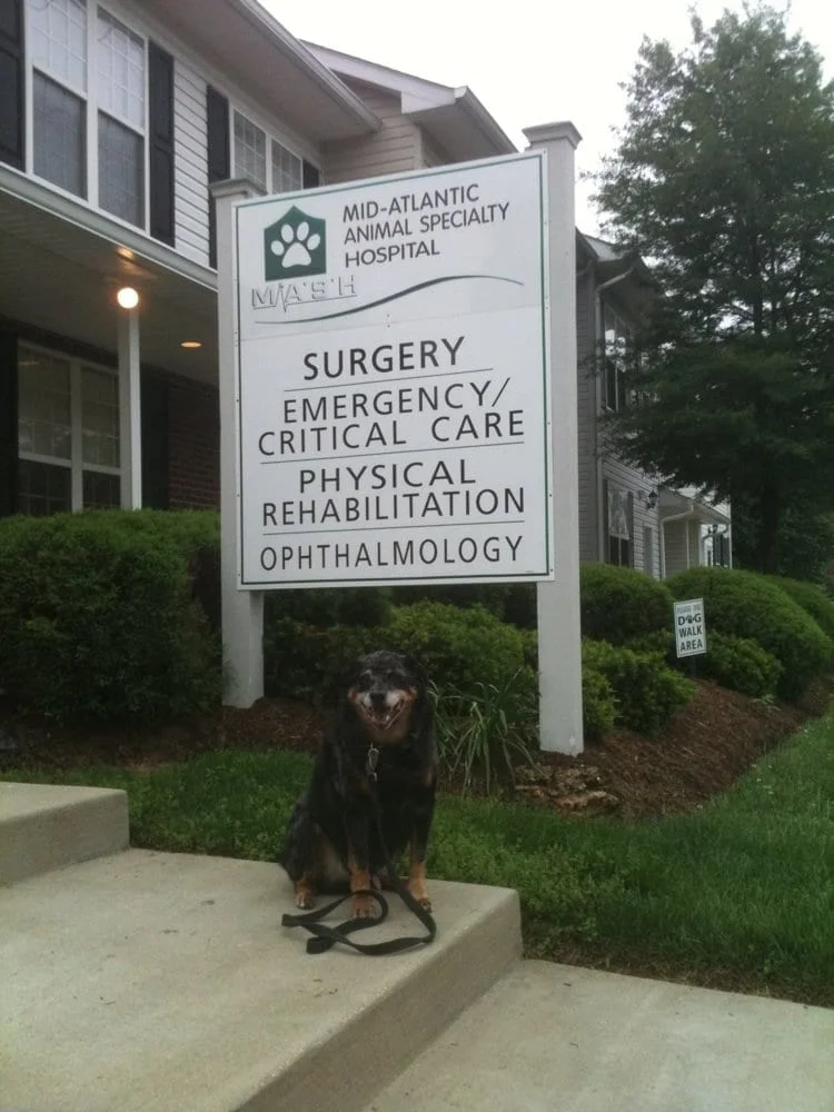Mid-Atlantic Animal Specialty Hospital