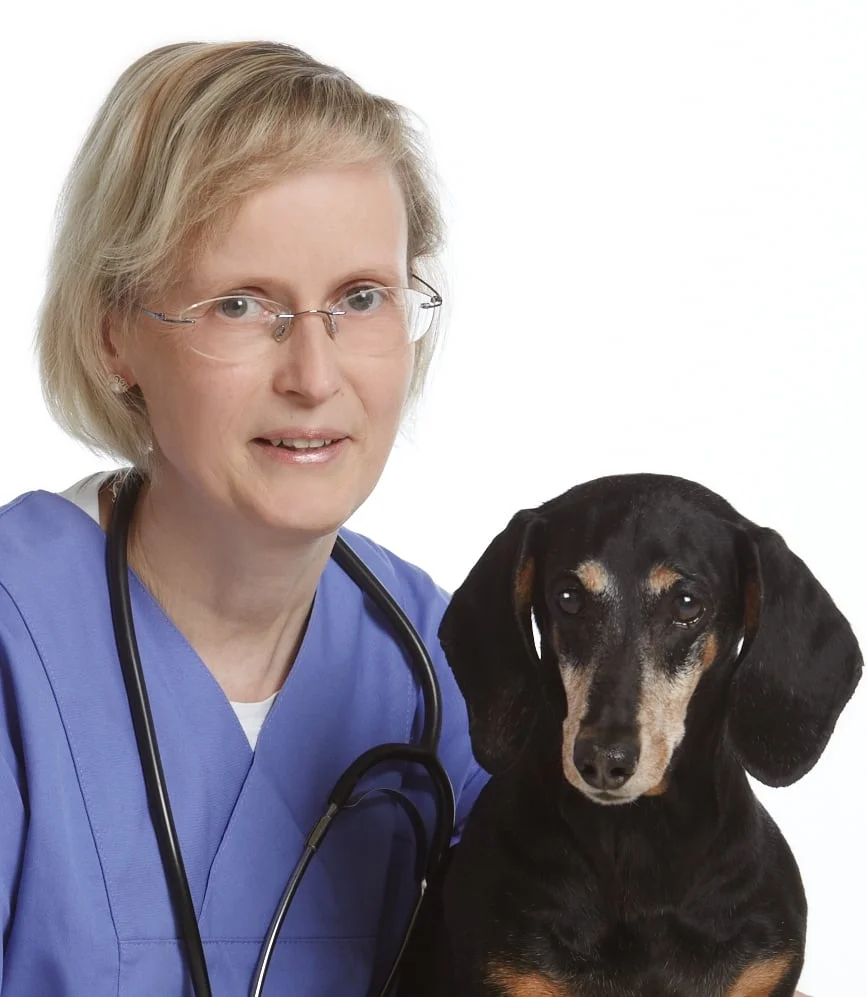 Kleintierpraxis Dr. Ines Holz