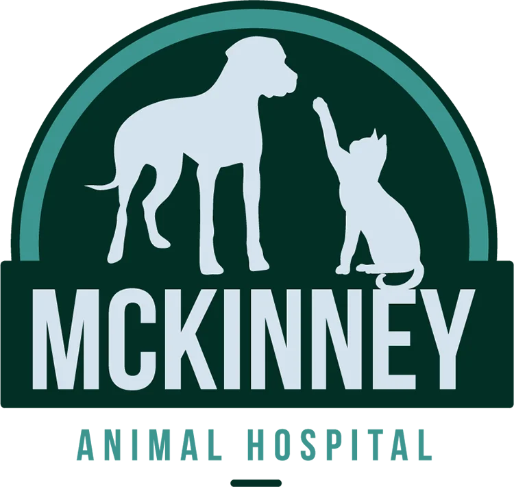 McKinney Animal Hospital