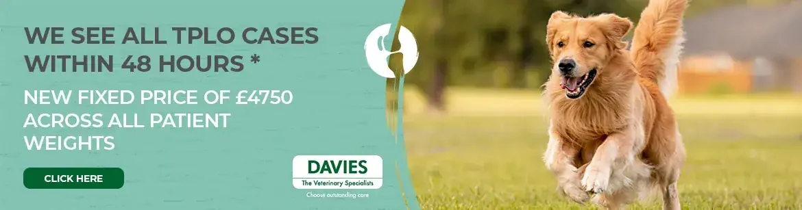 veterniary sub centre