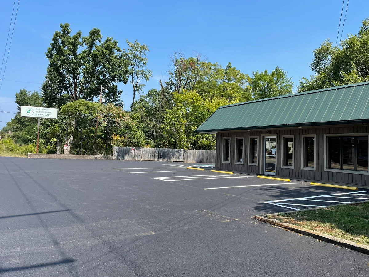 Allegheny Veterinary Associates