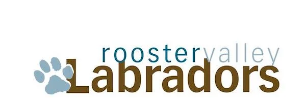 Rooster Valley Labradors