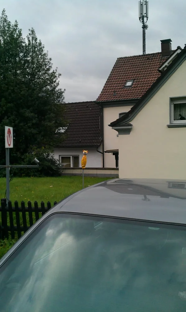 Tierarztpraxis Dr. Most