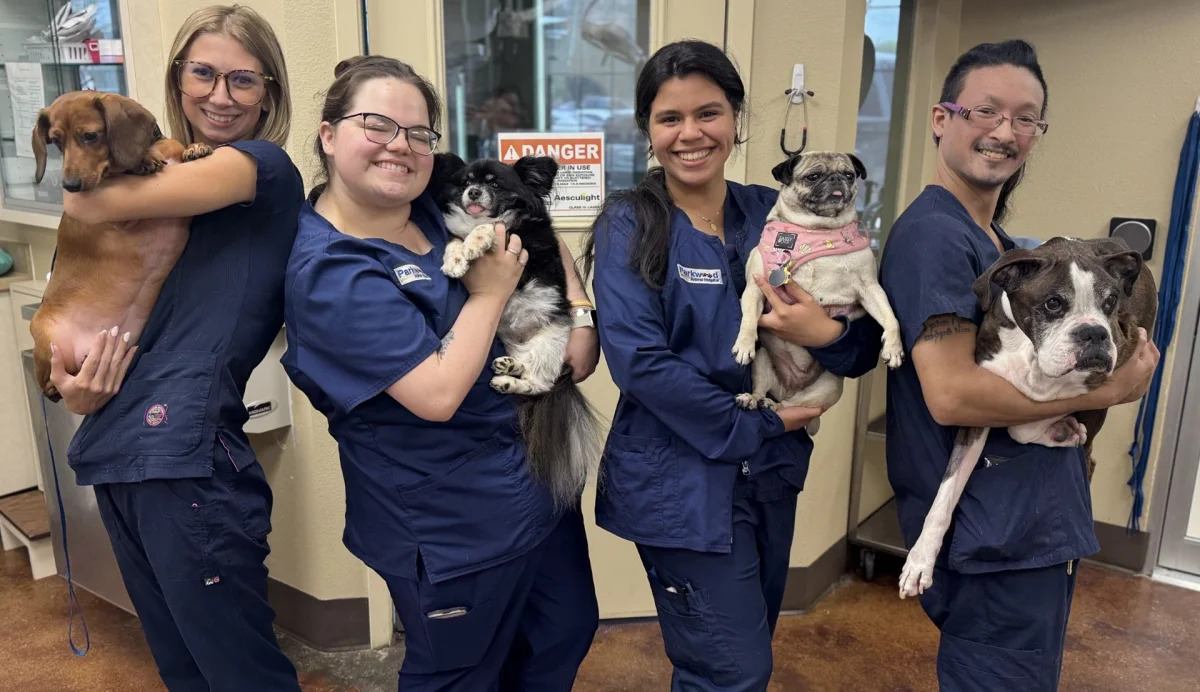 Parkwood Animal Hospital & Boarding