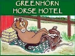 Greenhorn Horse Hotel
