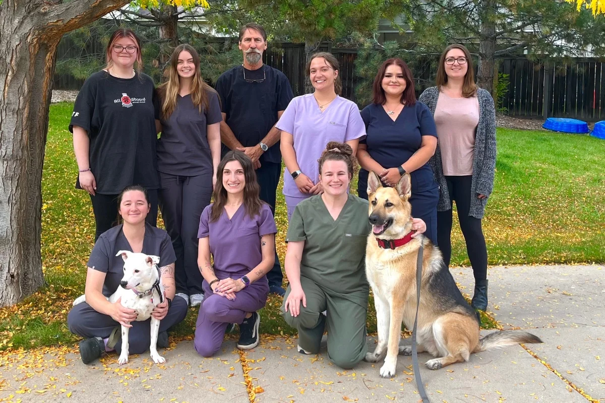 Animal Hospital of Colorado