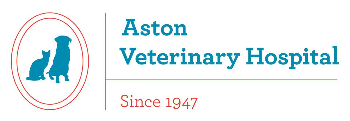 Brzezinski Deborah Veterinarian