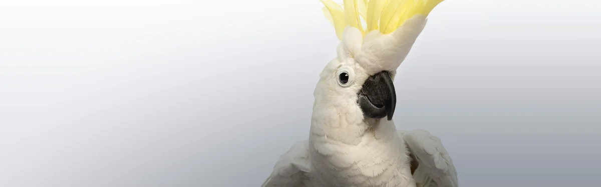 East Petaluma Animal Hospital