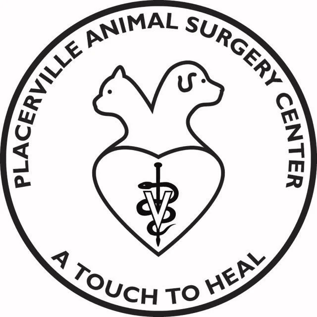 Placerville Animal Surgery Center