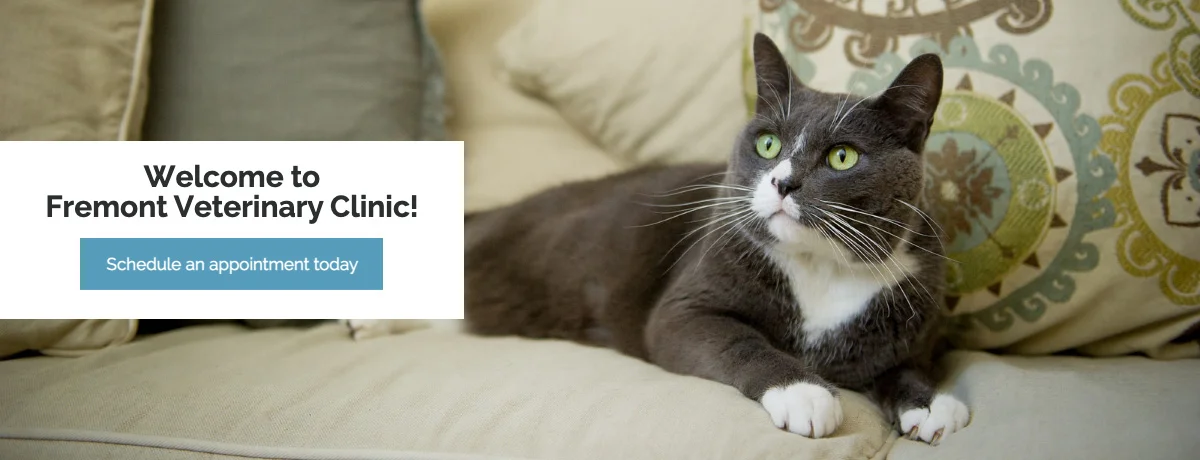 Fremont Veterinary Clinic
