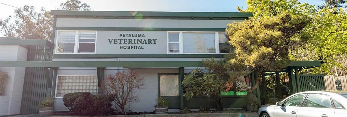 Petaluma Veterinary Hospital