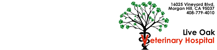 Live Oak Veterinary Hospital